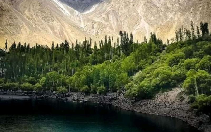 1e6504bfbef773b231e2bc3bacdf4ca5